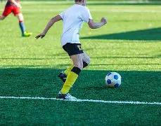 拜仁延续德,甲霸主地位,教练弗利克,米兰体育平台,米兰体育官方网站,米兰体育登录入口,米兰体育app下载