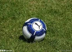 麦康纳,分钟替补爆,高效砍下,米兰体育平台,米兰体育官方网站,米兰体育登录入口,米兰体育app下载