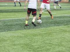 公牛惨败,热火,将齐飞,米兰体育平台,米兰体育官方网站,米兰体育登录入口,米兰体育app下载