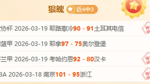 “2025年慕尼黑安全会议报告发布：多极化议题成焦点”